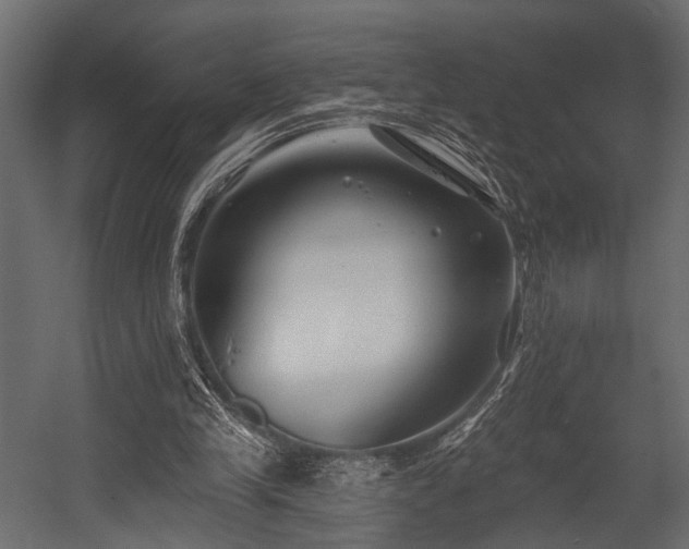 X0000054440245200508011437