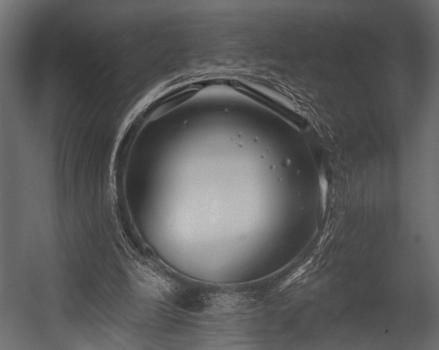 X0000054440246200508011437