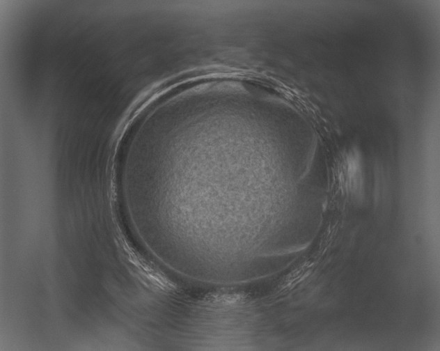 X0000054440247200508011437