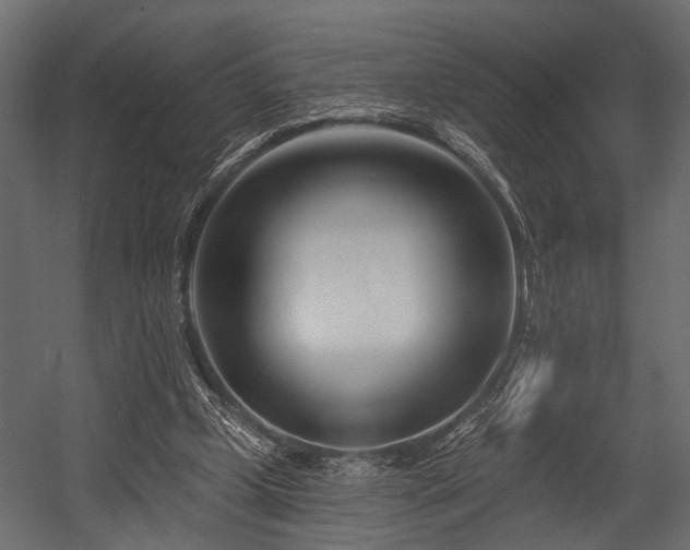 X0000054440249200508011437