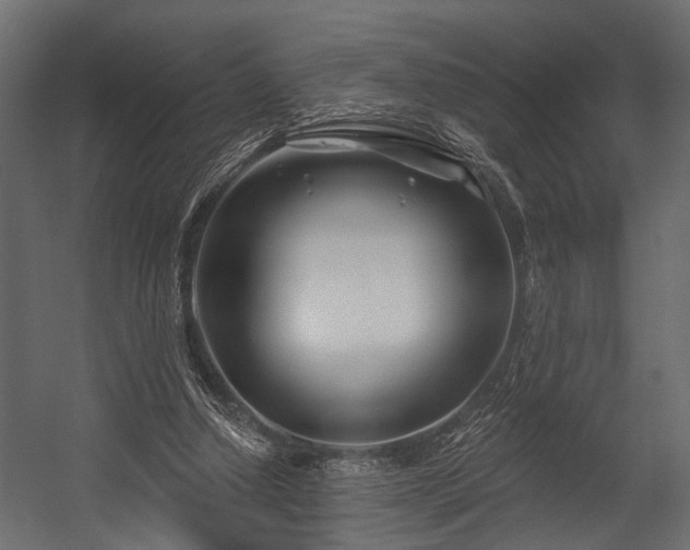 X0000054440250200508011437