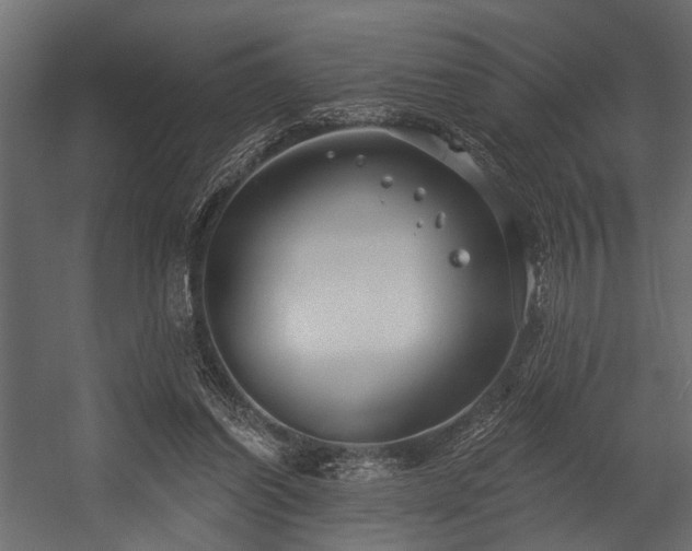 X0000054440254200508011437