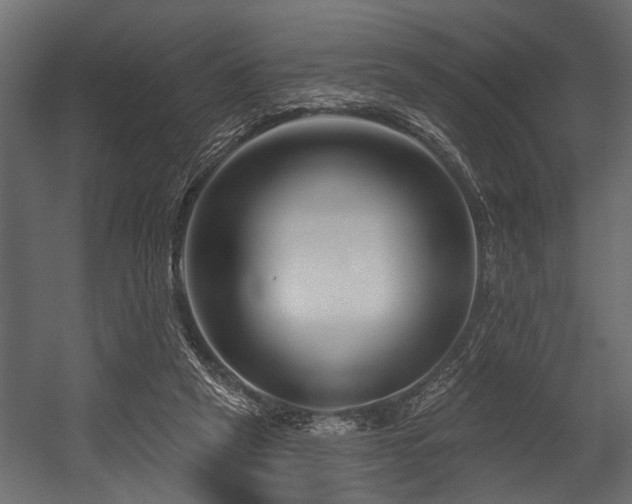 X0000054440257200508011437