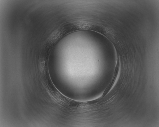 X0000054440263200508011437