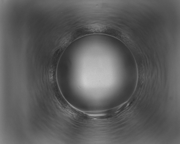 X0000054440268200508011437