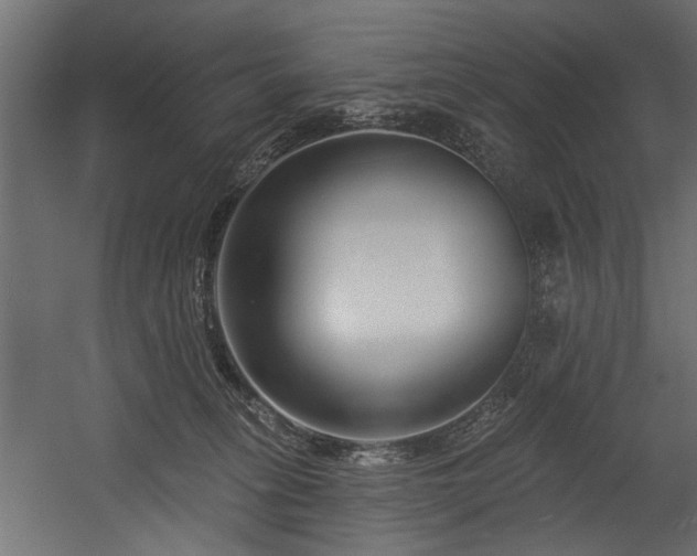 X0000054440275200508011437