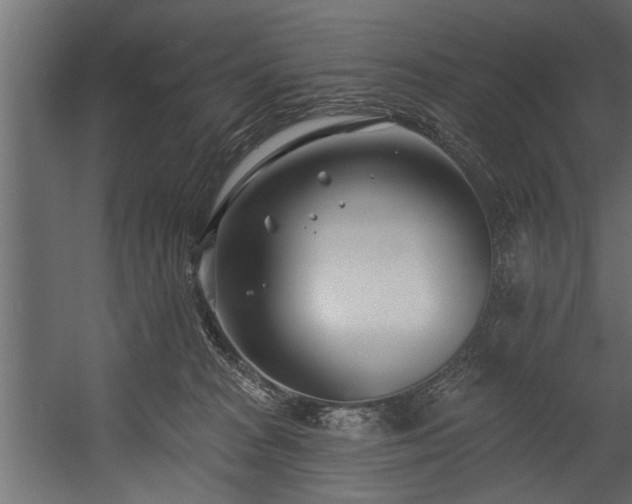 X0000054440277200508011438