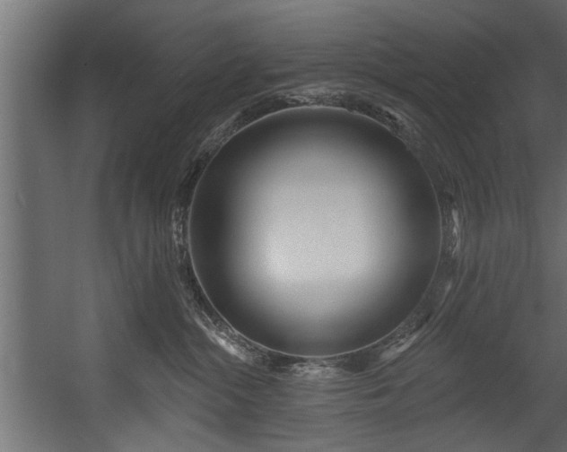 X0000054440284200508011438