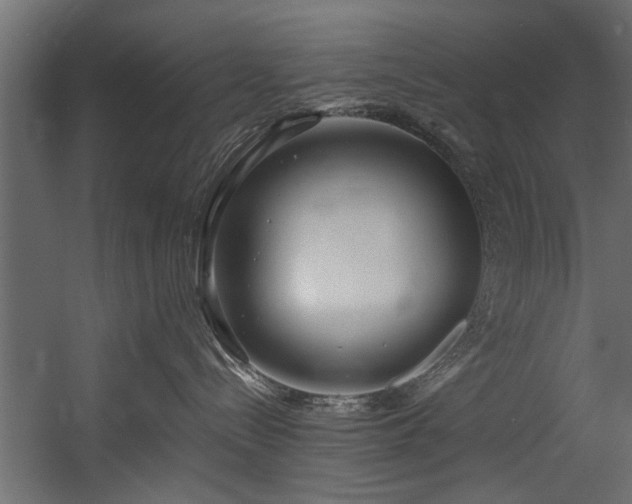 X0000054440288200508011438