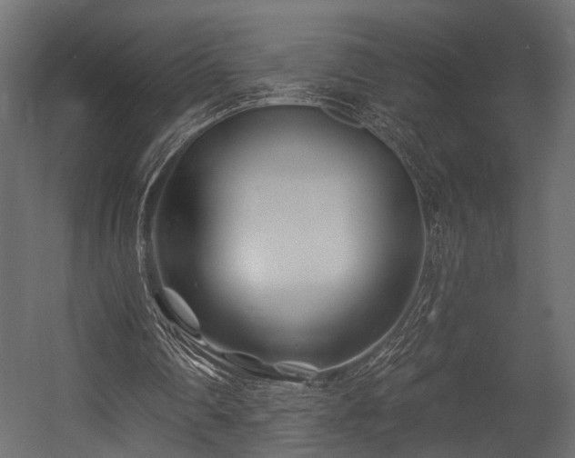 X0000054440290200508011437