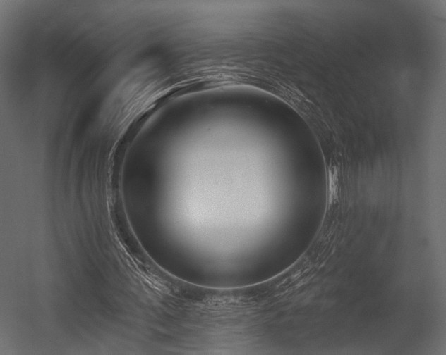 X0000054440291200508011437