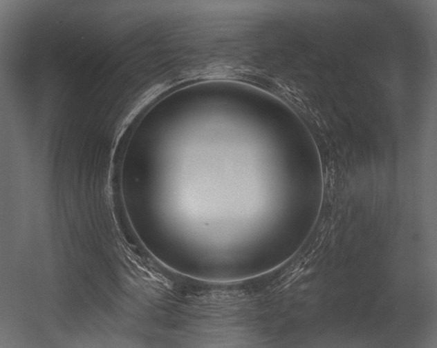 X0000054440292200508011437