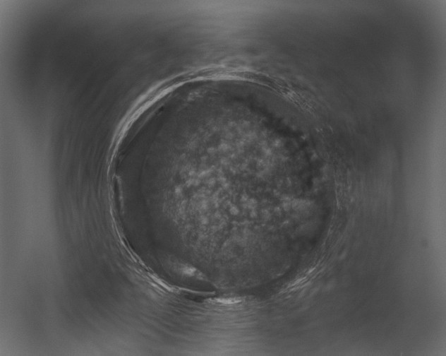 X0000054440295200508011437