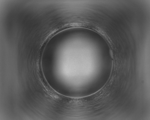 X0000054440297200508011437