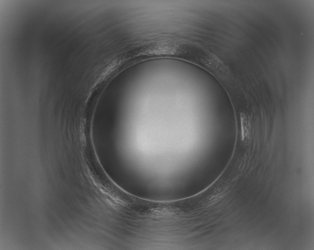 X0000054440300200508011437