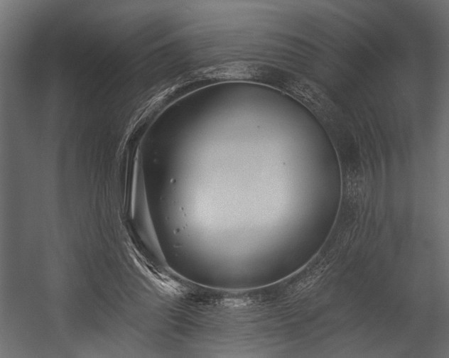 X0000054440302200508011437