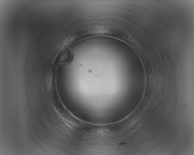 X0000054440304200508011437