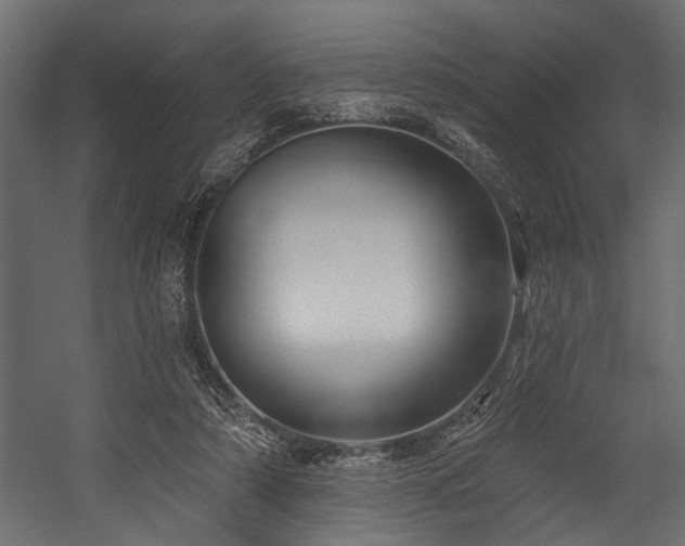 X0000054440306200508011437