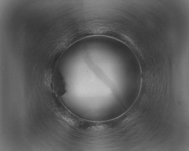 X0000054440307200508011437