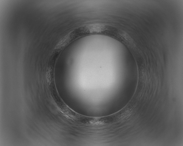 X0000054440311200508011437