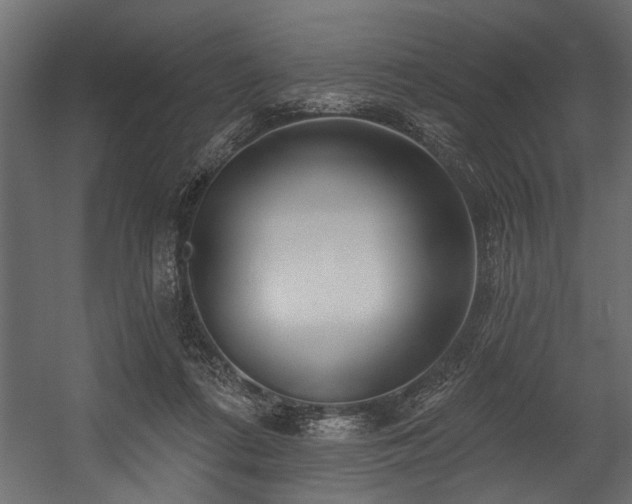 X0000054440312200508011436