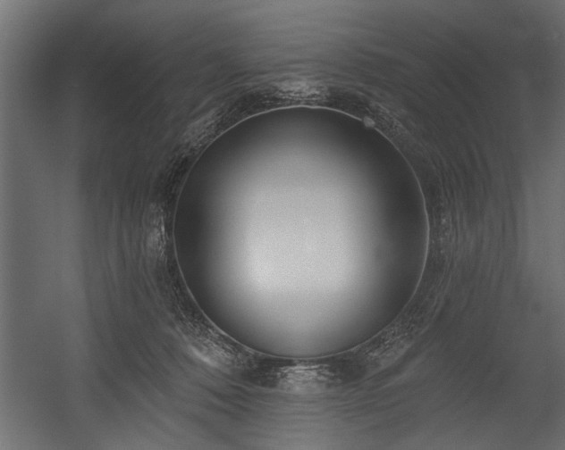 X0000054440320200508011436