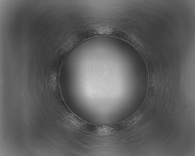 X0000054440321200508011436