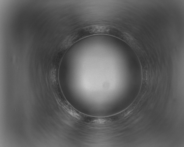 X0000054440326200508011436