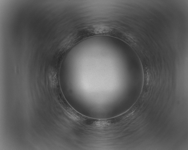 X0000054440327200508011436