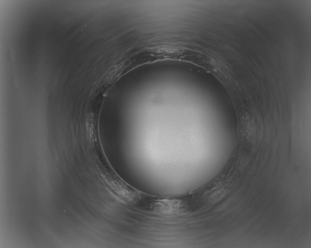 X0000054440328200508011436