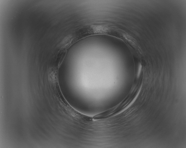 X0000054440329200508011436