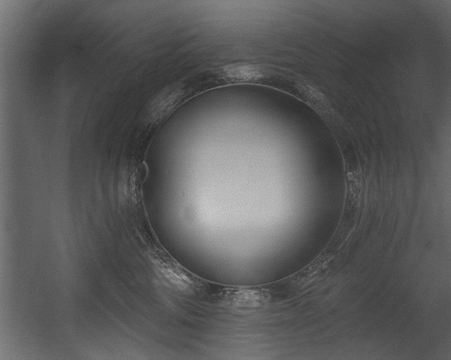 X0000054440330200508011436