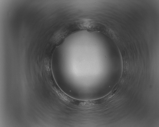 X0000054440331200508011436