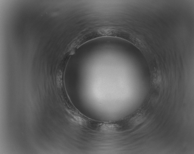 X0000054440332200508011436