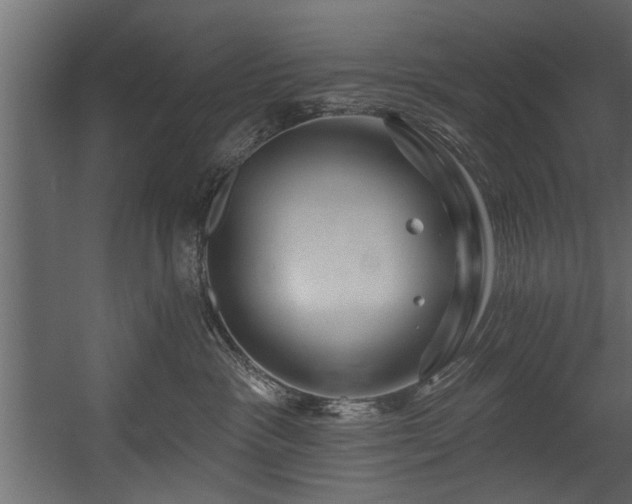 X0000054440333200508011436