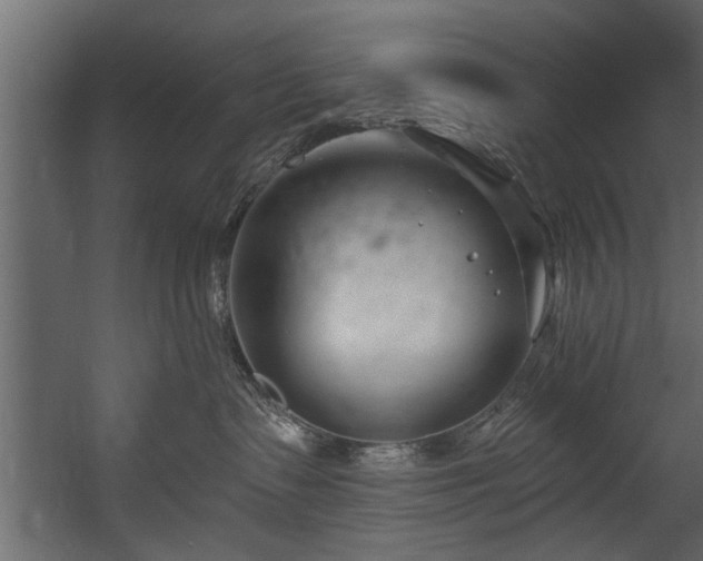 X0000054440335200508011436