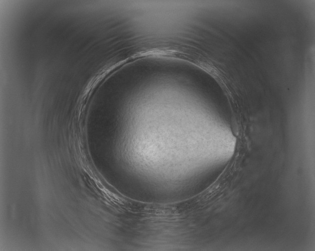 X0000054440337200508011435