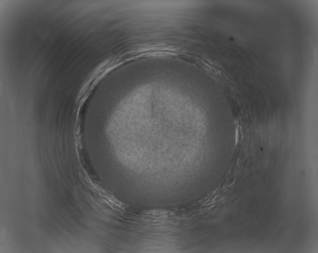 X0000054440339200508011435