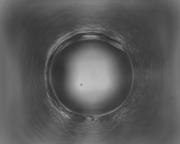 X0000054440340200508011435