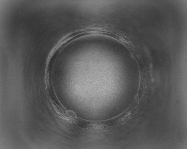 X0000054440343200508011435