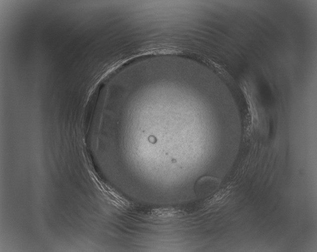 X0000054440351200508011435