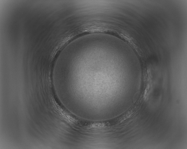 X0000054440353200508011436