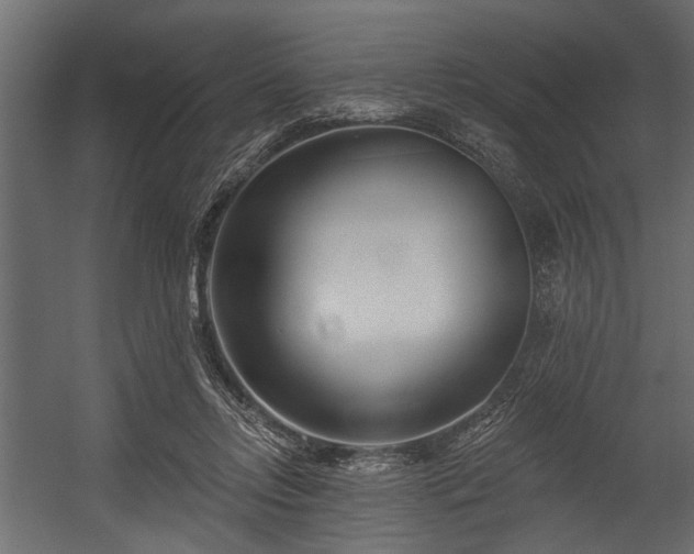 X0000054440358200508011436