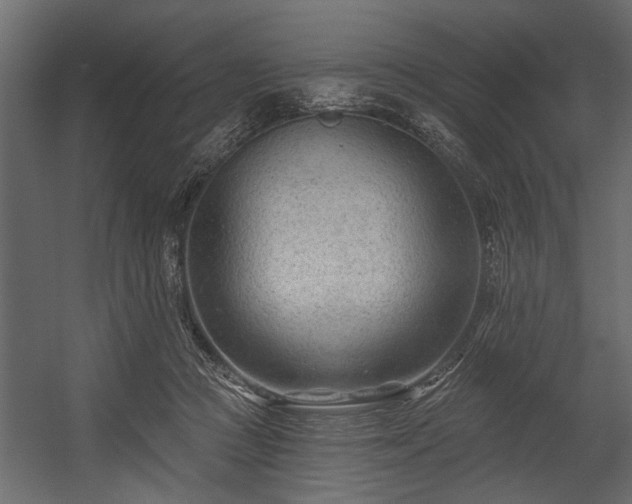 X0000054440361200508011436