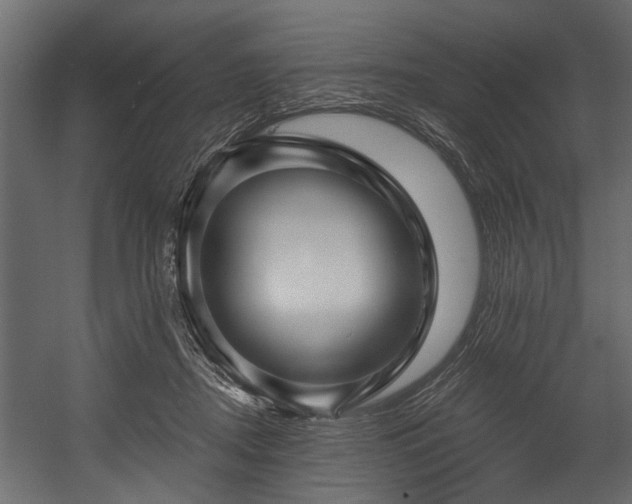 X0000054440362200508011436