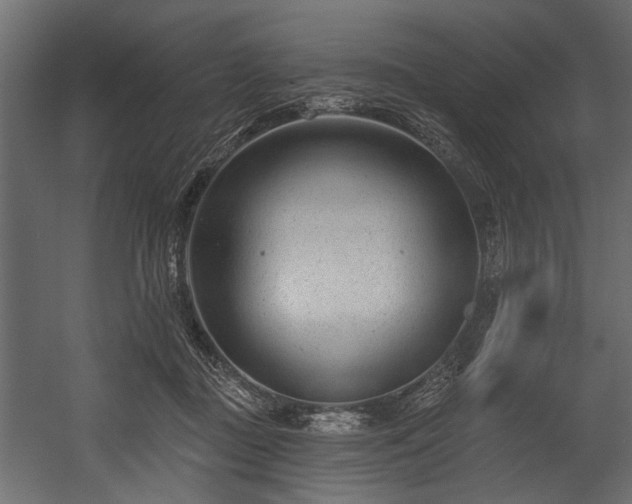 X0000054440363200508011436