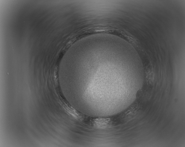 X0000054440373200508011436