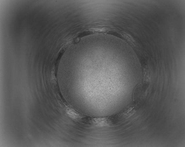 X0000054440377200508011436