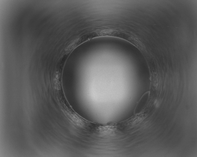 X0000054440378200508011436