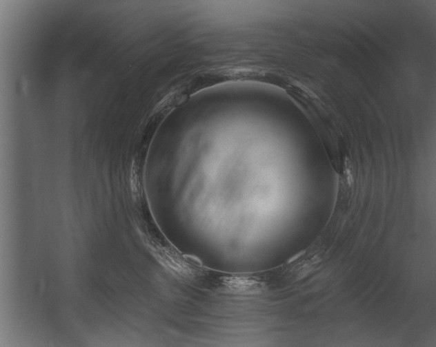 X0000054440380200508011436